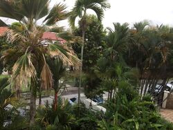 Opera Estate (D15), Semi-Detached #455561701